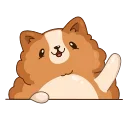 Sticker from 💁🏻‍♂️ ВсеГО понемногу
