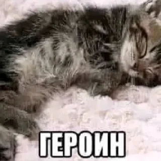 Sticker from я еблан