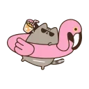 😎 emoji Animated Pusheen @IMG2D Telegram sticker 15 of 40