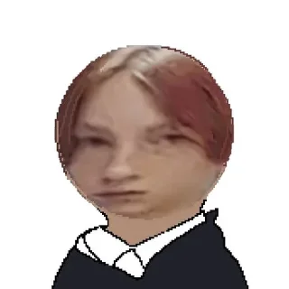 😐 emoji Ну пон да Telegram sticker 22 of 27