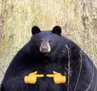 Sticker from fly-eater bears