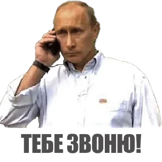 📞 emoji Михал Палыч Telegram sticker 10 of 114