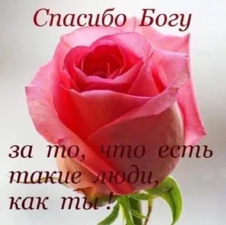 Sticker from для вас мои хорошие
