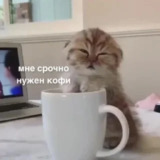 😖 emoji стики от владочки Telegram sticker 17 of 120