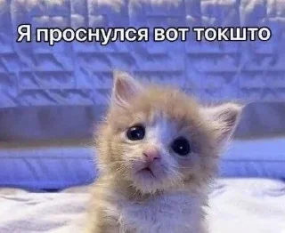 💗 emoji стики от владочки Telegram sticker 5 of 120