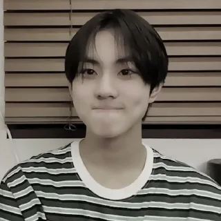 🔖 emoji ‹ 🔖 yang jungwon @ranllemeri Telegram sticker 14 of 55