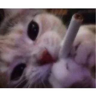 🚬 emoji мими.🐱 Telegram sticker 12 of 28