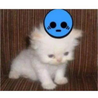 😥 emoji мими.🐱 Telegram sticker 8 of 28