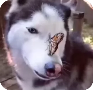 😇 emoji Добри Telegram sticker 10 of 10