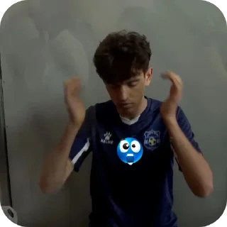😱 emoji Вячеслав Зинченко 🎀 Telegram sticker 15 of 70