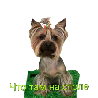 💚 emoji А ну ка давай-ка! Telegram sticker 13 of 32