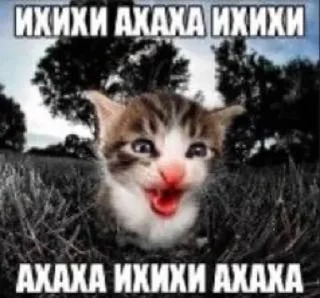 🌟 emoji ИНТЕРЕСНО А ПОЧЕМУ Telegram sticker 24 of 70