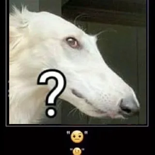 🧐 emoji longnose style Telegram sticker 15 of 41