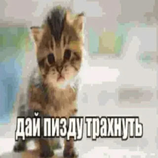 🔞 emoji я хз какой уже Telegram sticker 14 of 119