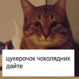 Sticker from йой, най буде @ukrainiatrash