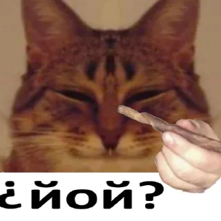 😈 emoji йой, най буде @ukrainiatrash Telegram sticker 12 of 19