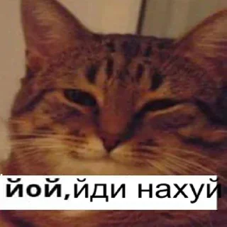 Sticker from йой, най буде @ukrainiatrash
