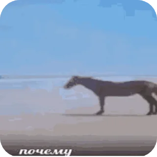 Sticker from Ворон разозлился
