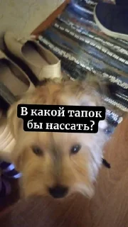 Sticker from людоеды