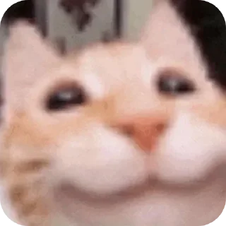 🥴 emoji БОЛЬШЕ ⇨ @CLOOBHUB МЕМЫ СТИКЕРЫ CREATURE COMMANDOS Telegram sticker 4 of 90