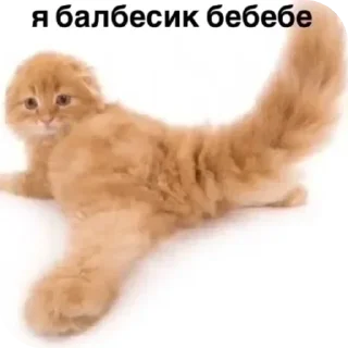 😛 emoji БОЛЬШЕ ⇨ @CLOOBHUB МЕМЫ СТИКЕРЫ CREATURE COMMANDOS Telegram sticker 2 of 90