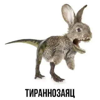 😡 emoji Смешные животные Telegram sticker 7 of 49