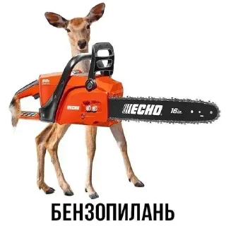 😜 emoji Смешные животные Telegram sticker 10 of 49