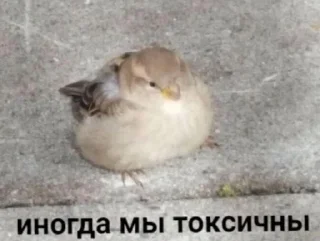 ☣ emoji Школа Telegram sticker 19 of 76