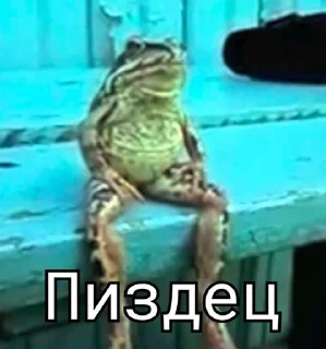 😳 emoji Сесед топ Telegram sticker 16 of 48