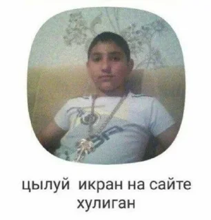 🦡 emoji рататуй Telegram sticker 22 of 60