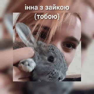 🐰 emoji халява інни Telegram sticker 15 of 29