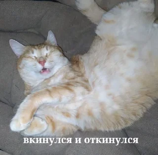 😵 emoji antonchik kisunchik Telegram sticker 9 of 16