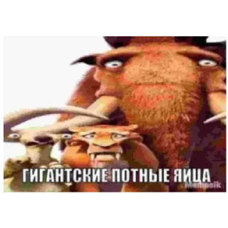 😳 emoji Экшен¹⁴⁸⁸ @Shershastiy Telegram sticker 5 of 80
