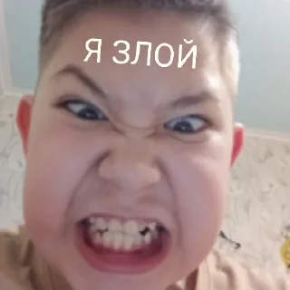 Sticker from крипер тг:Antonzaich