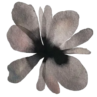 🌸 emoji ??? baked súgar櫻花.𓍯 Telegram sticker 14 of 59