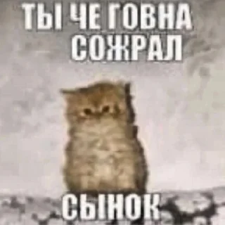 💩 emoji Пожрал говна Telegram sticker 1 of 120