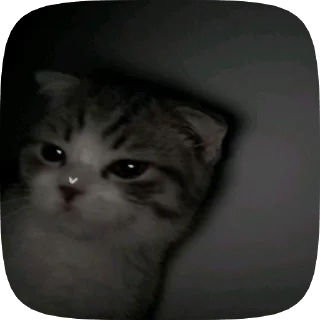 Sticker from Котята
