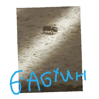 Sticker from Огрызок 637