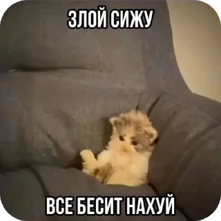 🐶 emoji Рандом стики из галереи Telegram sticker 8 of 46