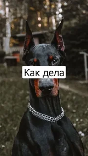 Sticker from Я не могу печатать)