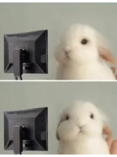 🌟 emoji Уважайте кроликов больше Telegram sticker 21 of 72