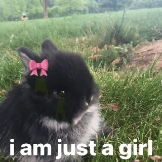 🌟 emoji Уважайте кроликов больше Telegram sticker 23 of 72