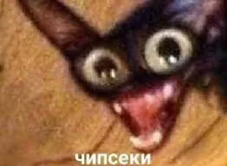 🌟 emoji кака Telegram sticker 17 of 21