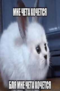 🌟 emoji Антиплесень Telegram sticker 23 of 42