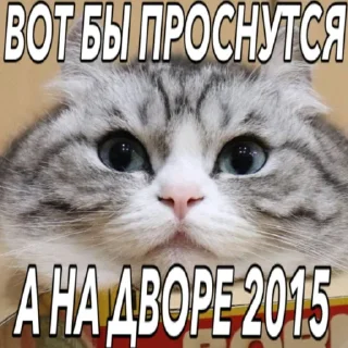 😋 emoji Комару | автор - @RoxarYay Telegram sticker 21 of 119