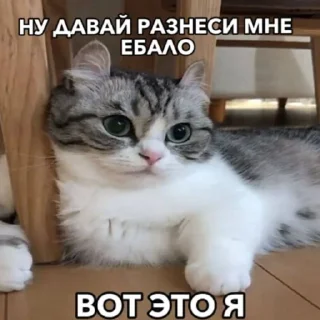 😎 emoji Комару | автор - @RoxarYay Telegram sticker 20 of 119