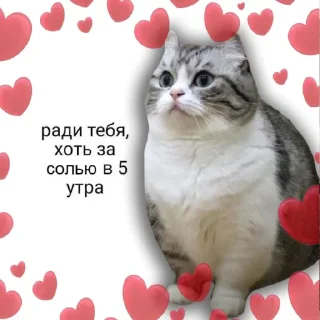 🥰 emoji Комару | автор - @RoxarYay Telegram sticker 14 of 119