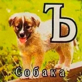 🐩 emoji Тыпес Telegram sticker 6 of 41
