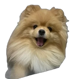 🫥 emoji @kristina.vnbrg Telegram sticker 14 of 26