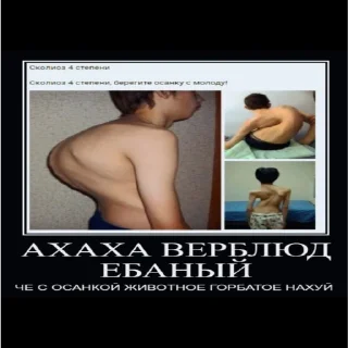🤣 emoji В залупу!!! Telegram sticker 10 of 39
